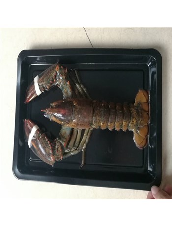 產(chǎn)品好不好，效果來說話（浙江客戶現(xiàn)場(chǎng)試機(jī)）